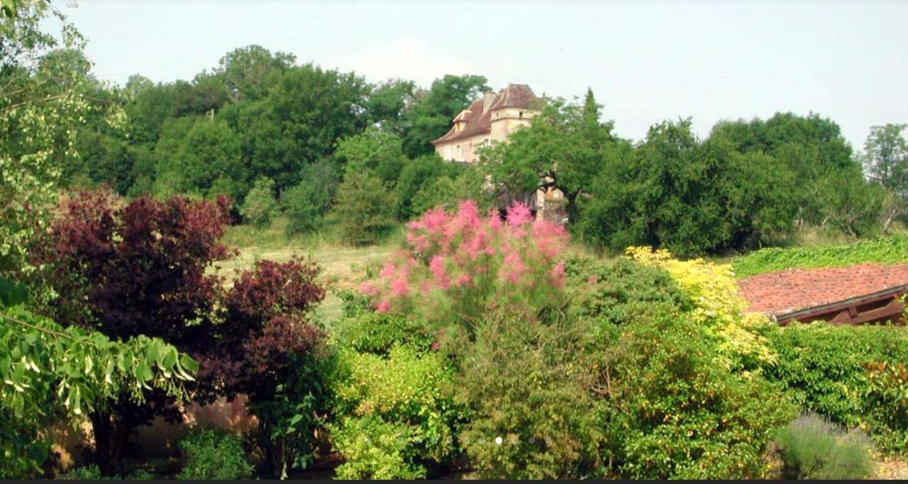 Chateau De Beduer And Vacation Homes Exterior foto
